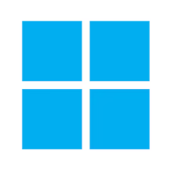 Win11